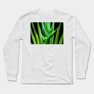 Palm frond Long Sleeve T-Shirt